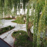 Japanese style garden at Klaipeda Pedagogical and psychological service